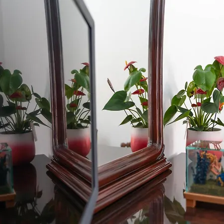 Casa Zichirinedda 알게로