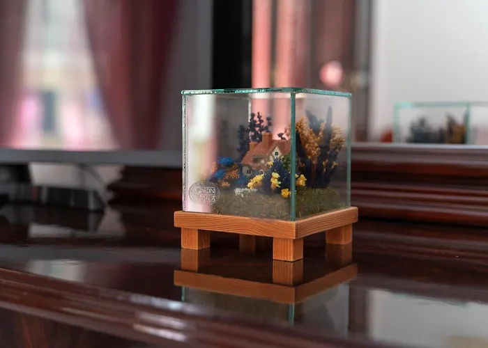 Casa Zichirinedda Apartmán Alghero